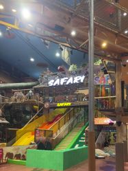 -卡通尼·Safari非洲探索乐园·生日会(金桥国际商业广场店)