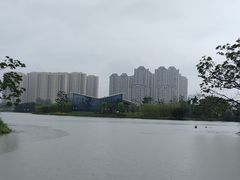 -三垟湿地