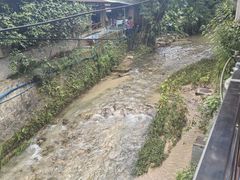 -竹庄餐馆·26年店(南昆山景区店)