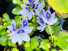 -青州市云门山风景区