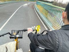 -白鹭湾湿地公园