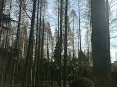 -上海怡沁园度假酒店