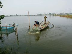 -白洋淀绿淀尚品土特产