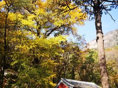 -北京上方山国家森林公园