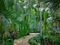 -国家植物园南园