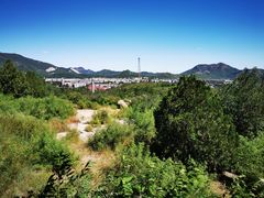 -白水寺森林公园