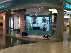 -大族广场Mall&More