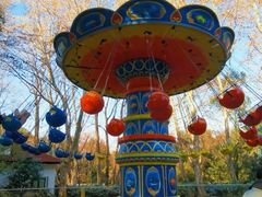 -上海共青森林公园