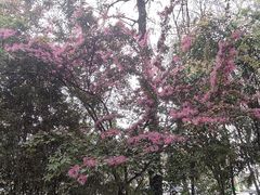 -成都市活水公园