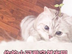 -浪里寻·臻牛养生牛肉火锅(方圆荟店)