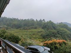 -天强农家菜馆