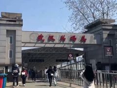 -武汉关码头(轮渡站)