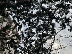 -青岛万象城