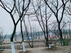 -佛手湖郊野公园