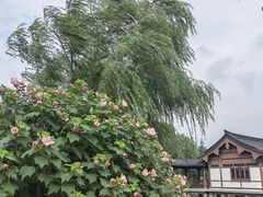 -石湖景区