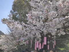 -杭州少年儿童公园
