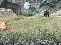 -海南热带野生动植物园