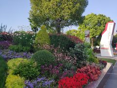 -七宝老街-闵行市民文化广场