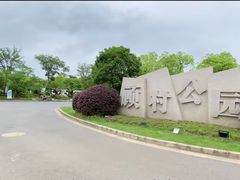 -顾村公园