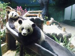 -灵玲国际马戏城