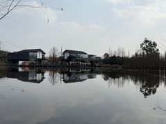 -白鹭湾湿地公园