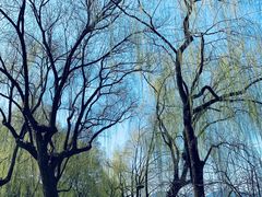 -杭州西湖风景名胜区-钱祠表忠