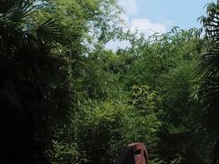 -望江楼公园