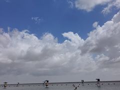 -碧海金沙