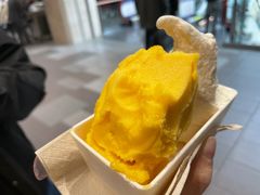 -野人先生现做冰淇淋(西安赛格店)