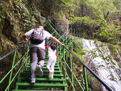 -藏龙百瀑风景区