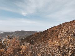 -香山公园
