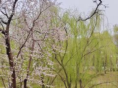 -元大都城垣遗址公园