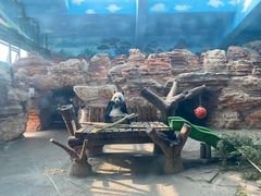 -石家庄市动物园