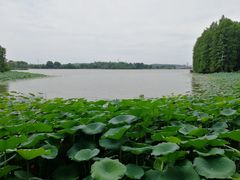 -东湖落雁景区