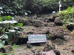 -海口火山口国家地质公园