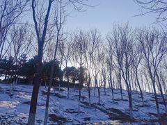 -大兴滨河森林公园