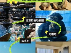 -石家庄市动物园