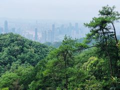 -大金鹰园