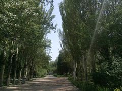 -青城公园
