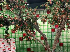 -番食园鲜食火锅(高新店)