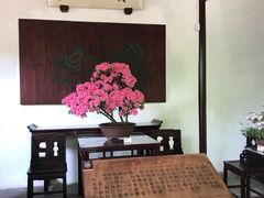 -上海醉白池公园