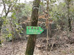 -宝界山林公园