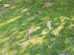 -长沙三景韦尔斯利酒店·Oval全日制餐厅自助餐