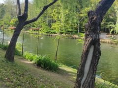 -新江湾城公园
