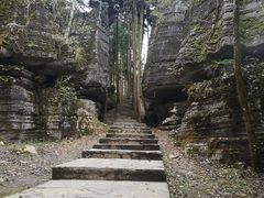 -梭布垭石林景区