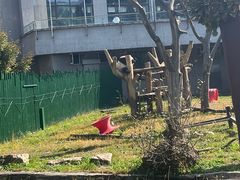 -沈阳森林动物园