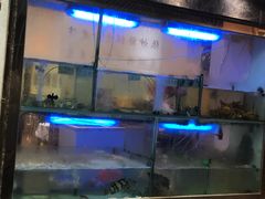 -凤城礼记鱼翅海鲜酒家(新马路总店)