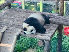 -大连森林动物园