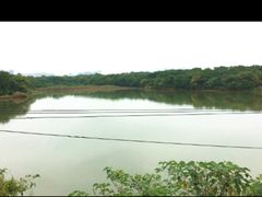 -盘龙城国家考古遗址公园