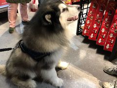 -仲盛世界商城